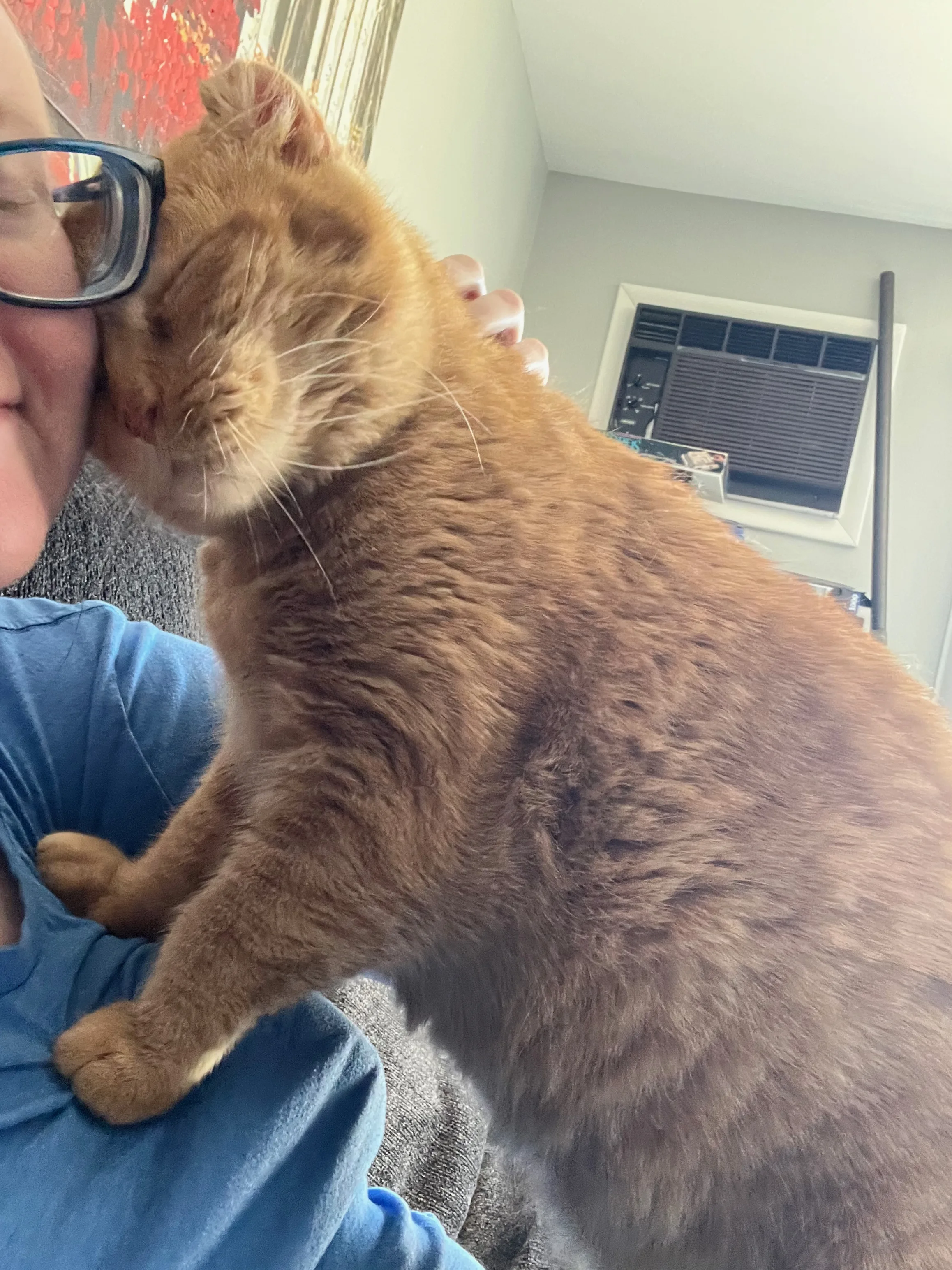 A pet in Rose's care